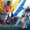 Build Strike Gundam Full Package RG -Ventes de produits Saint Seiya build strike gundam full package rg