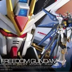 Strike Freedom Gundam RG